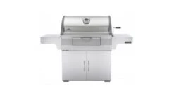 Napoleon PRO605CSS Charcoal Professional BBQ - Free Cover